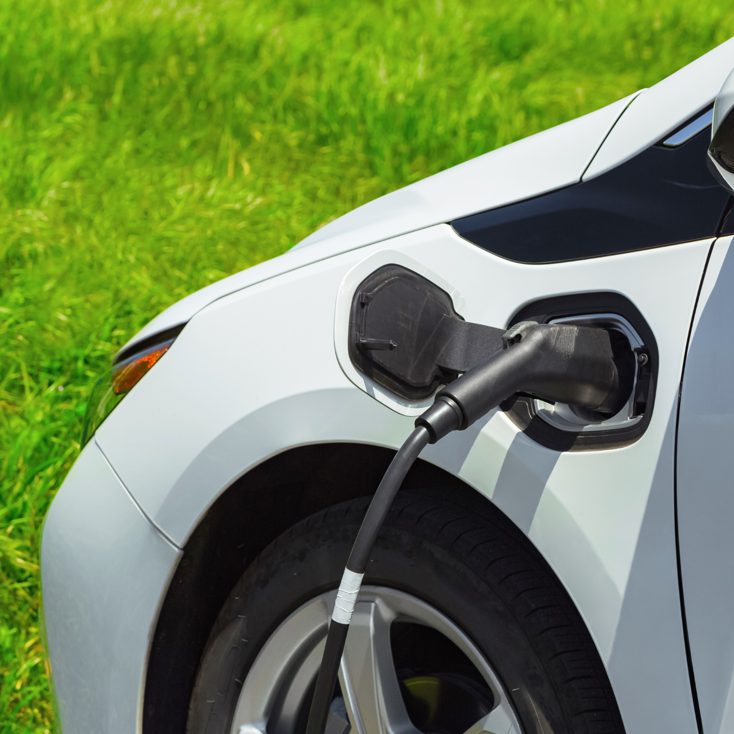Primer plano de un coche eléctrico blanco conectado a un punto de carga, con fondo de césped verde, representando movilidad sostenible y energía limpia.